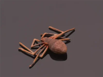 Trevor Tagliabue sculpture