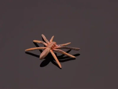 Trevor Tagliabue sculpture