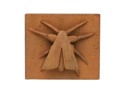 Small hand carved wooden sculpture or a moth