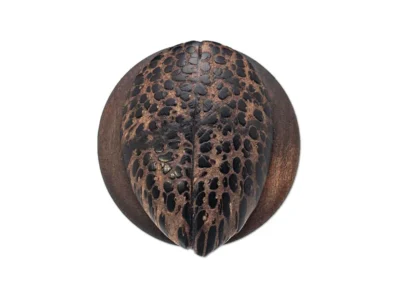 Small hand carved abstract wooden sculpture