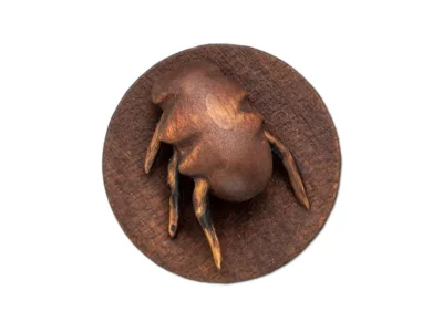 Small hand carved abstract wooden beetle sculpture