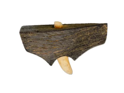 Small hand carved abstract wooden sculpture with tooth