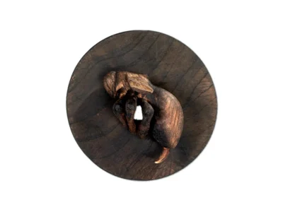 Small hand carved wooden insect sculpture